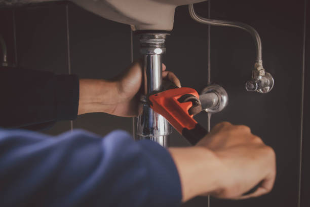 Best Clogged Drain Plumber  in Ellwood City, PA